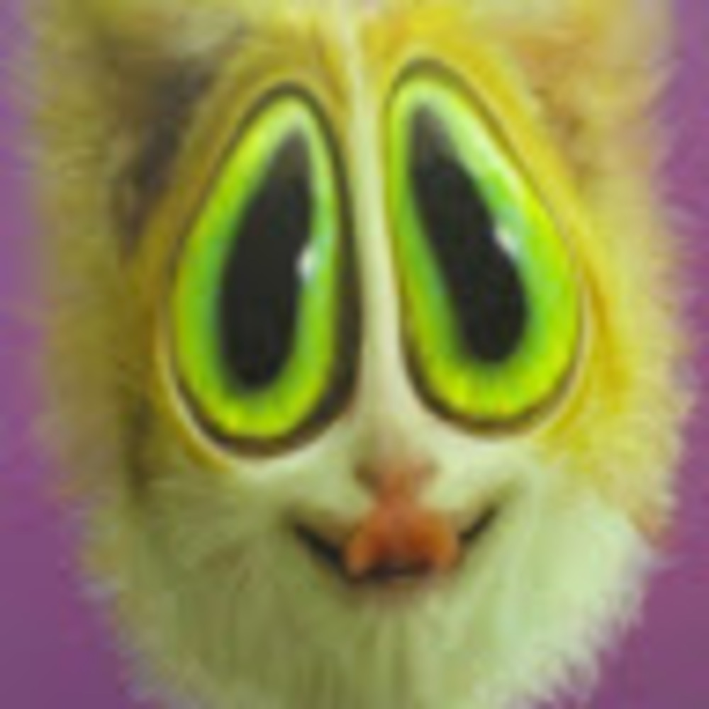 Meet your Posher, Tracey